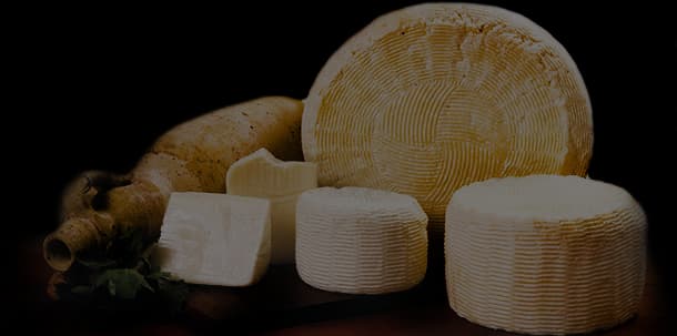 Formaggi Freschi