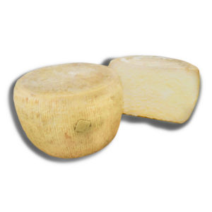 pecorino semistagionato bianco